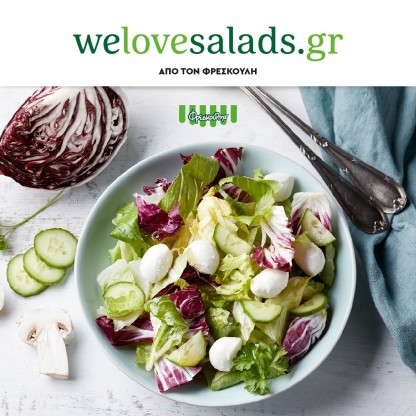 welovesalads-freskoulis-posts-02.jpg