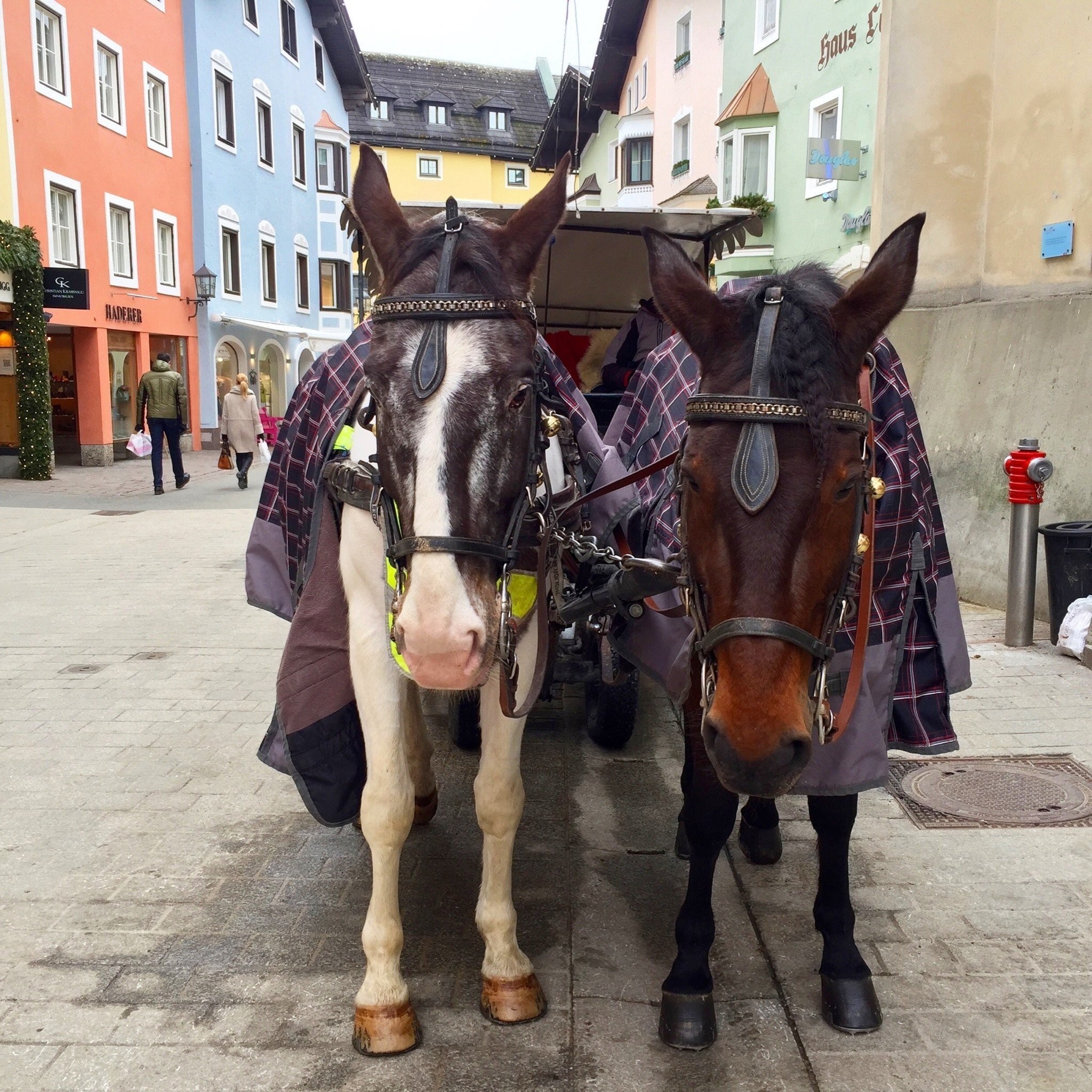 2-kitzbuhel-travel-niki-chatzinikolaou.jpg 2-kitzbuhel-travel-niki-chatzinikolaou.jpg