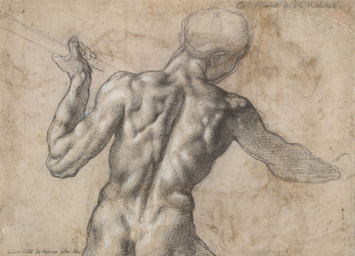 michelangelo-buonarroti-maennlicher-rueckenakt-um-1504-albertina-wien1200x0.jpg