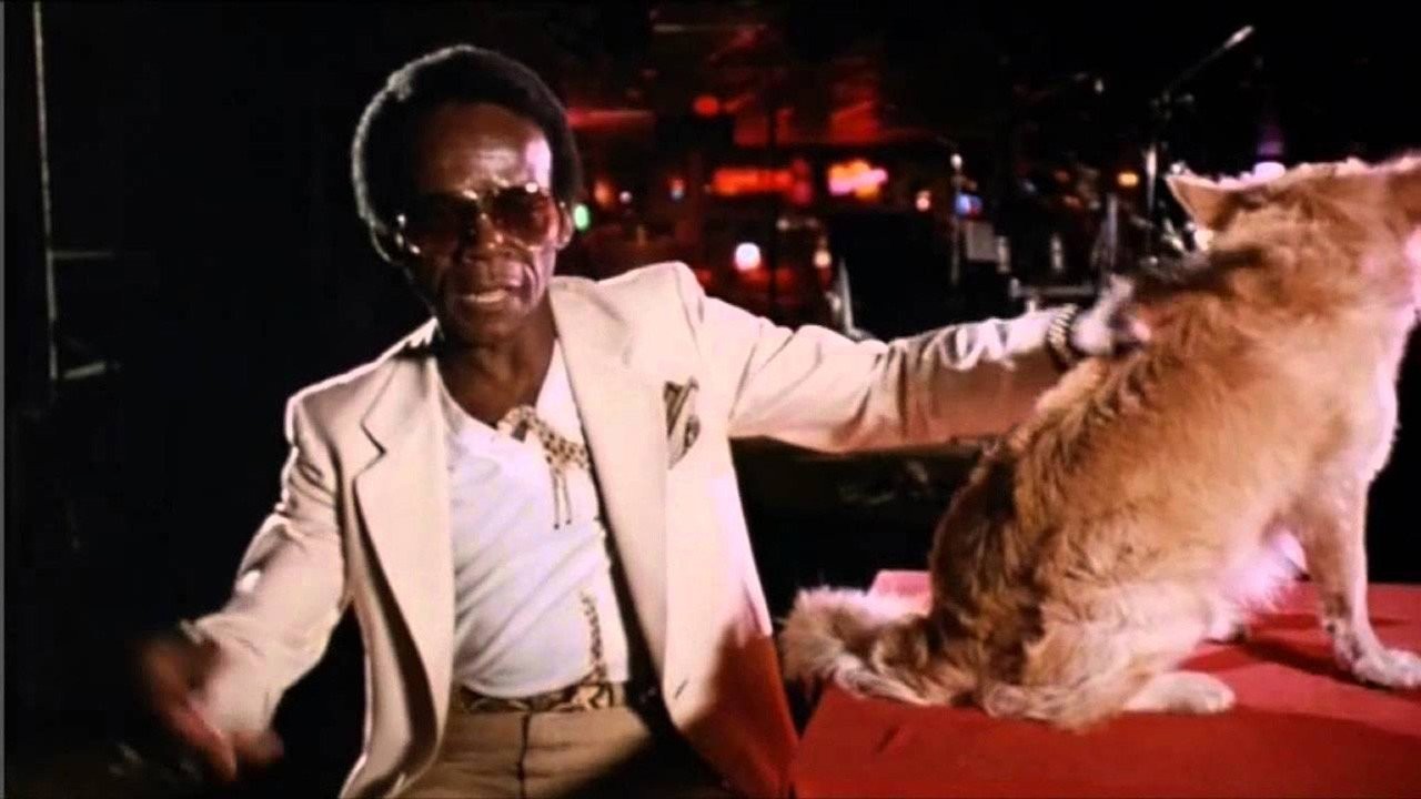 the-twist.jpg the-twist.jpg