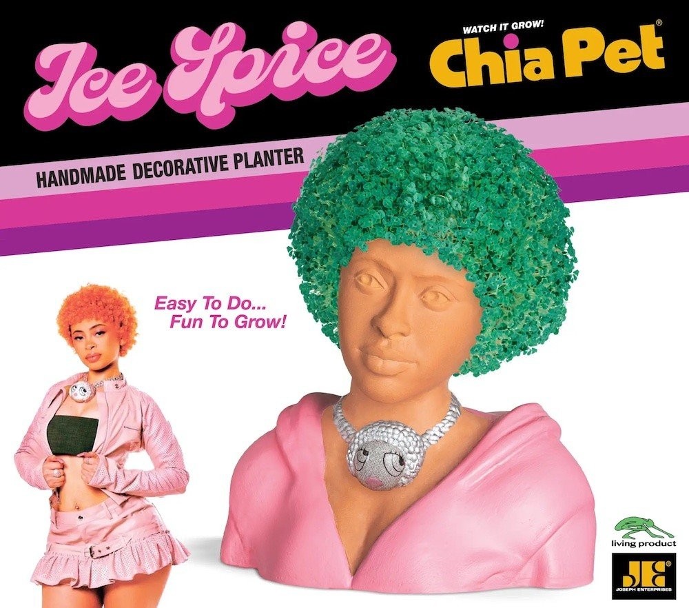 ice-spice-chia-pet.jpeg