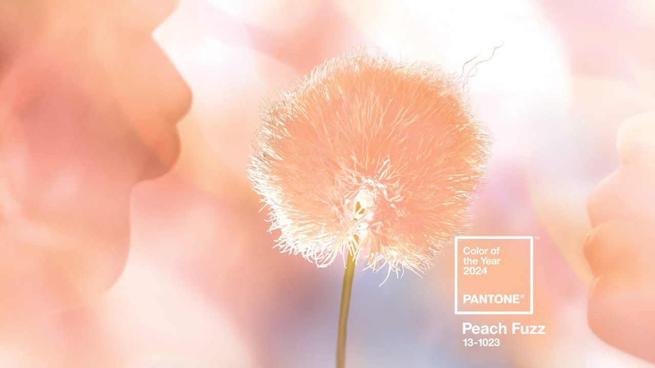 pantone-coy2024-wallpaper-download-peachfuzzhero-1536x864.jpg