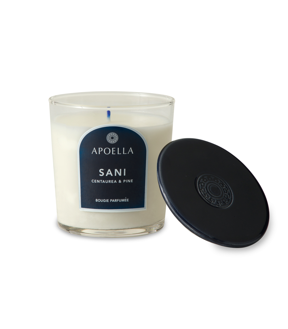 sani-candle-03.png