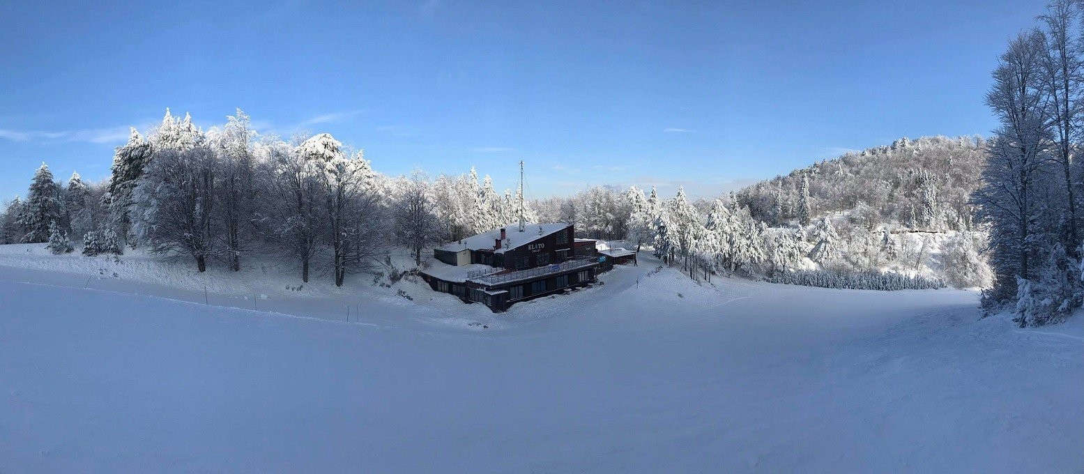 elatochalet-2-ATc9f.jpg