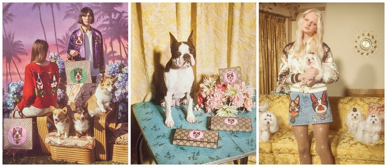 gucci-dog-year.jpg