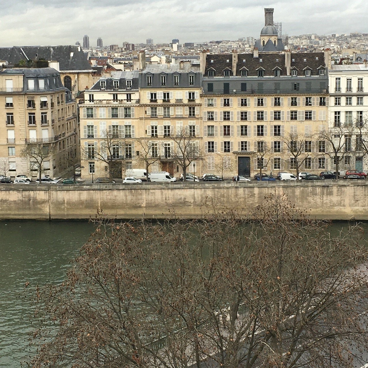 parisi-apo-pshla.jpg parisi-apo-pshla.jpg