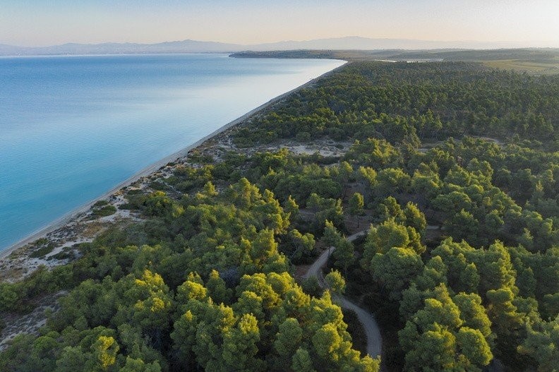 sani-resort-bousoulas-beach-forest-aerial-792x527.jpg