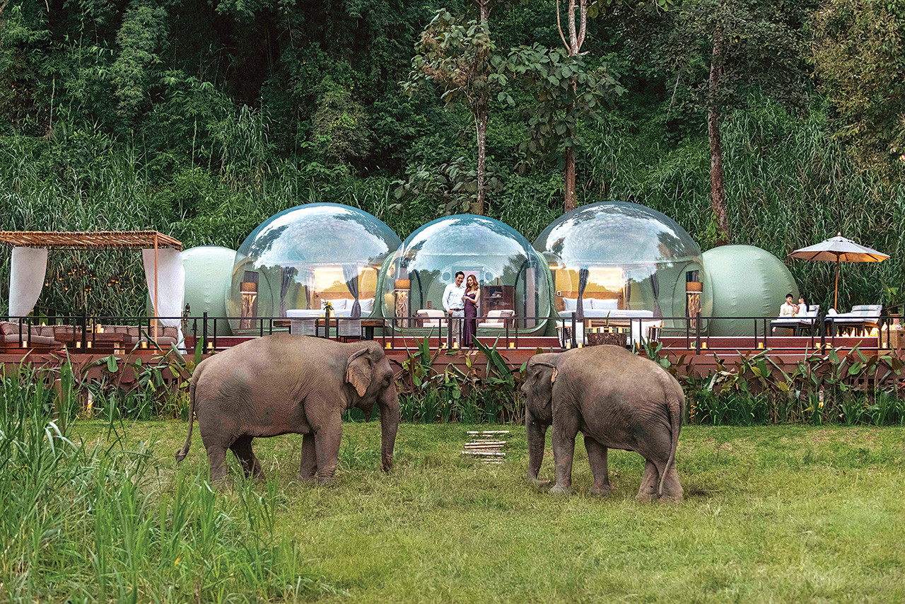 anantara-golden-triangle-elephan-scaled.jpg