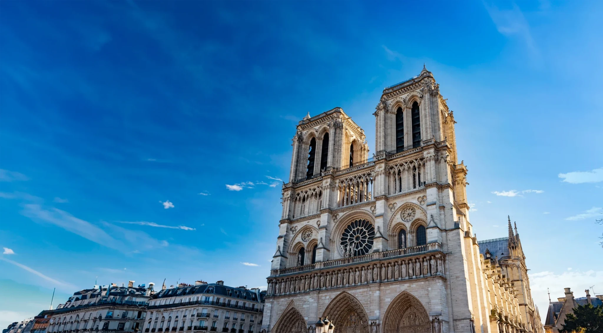 notre-dame-site-scaled.webp