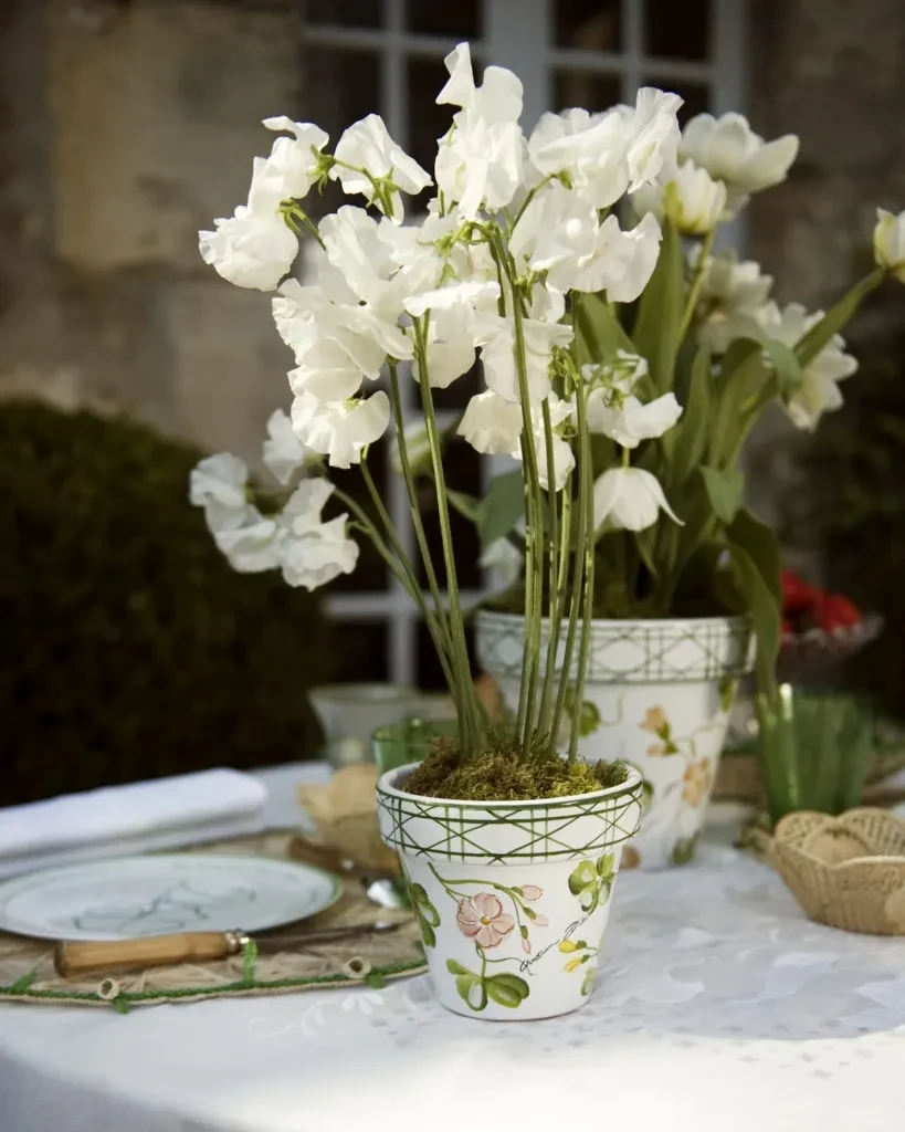 dior-maison-lucky-milly-elise-toide6-819x1024.webp