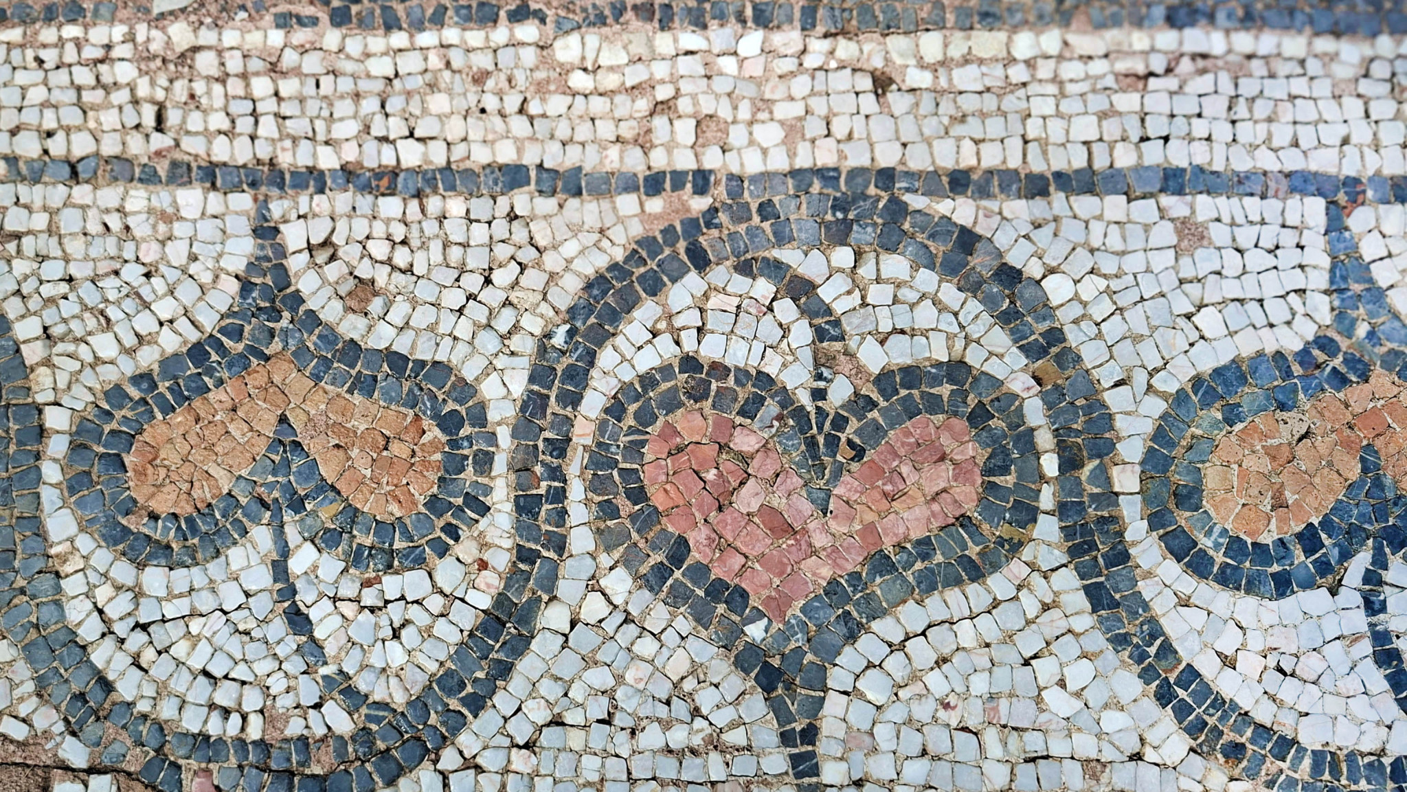 kissos-kai-lithos-2.jpg