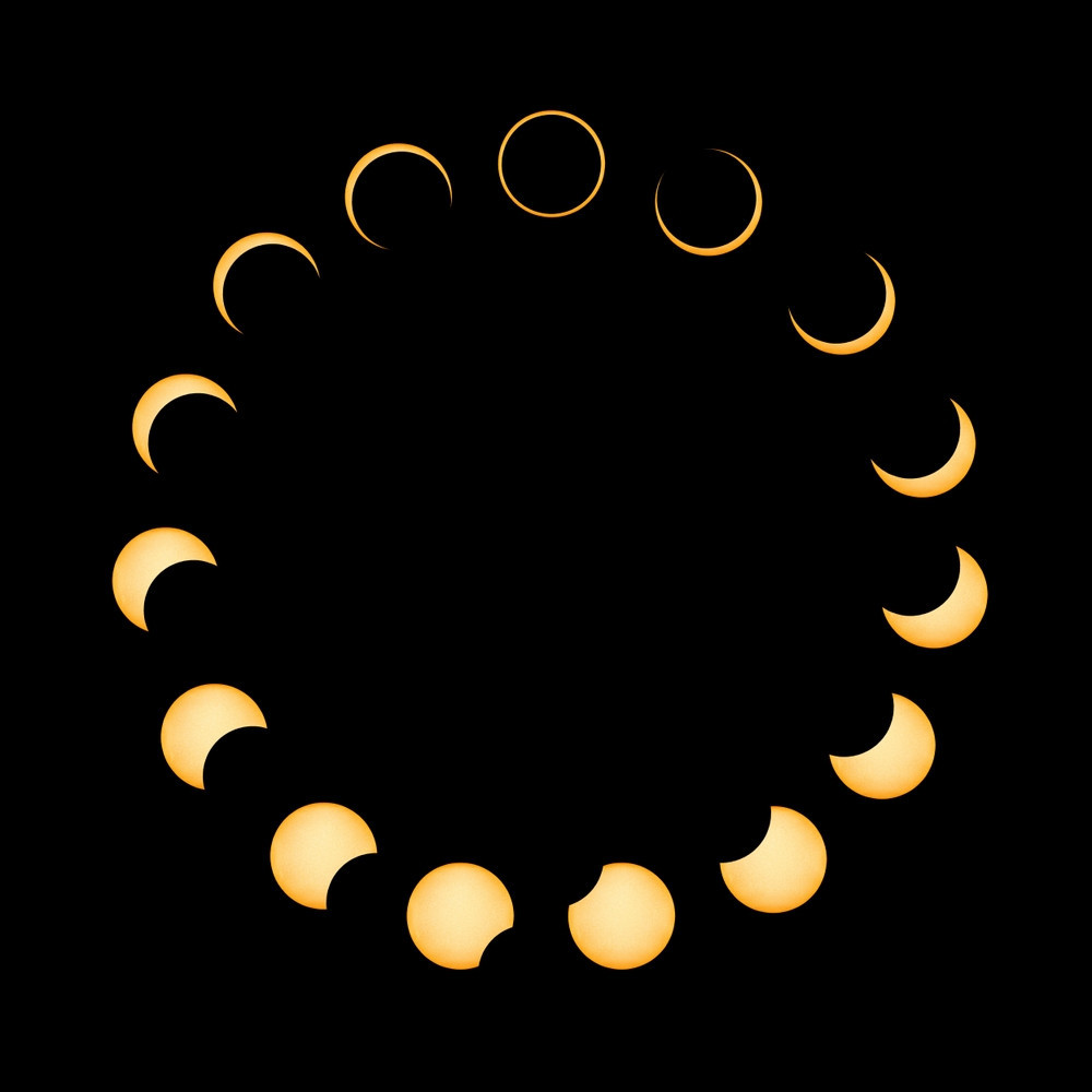 shutterstock-2311027117.jpg