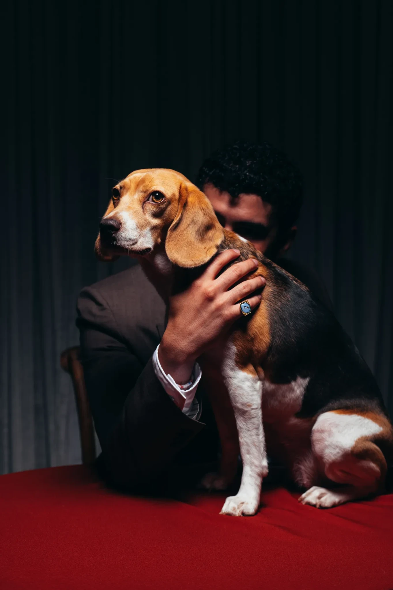 dogue-07272026-2119-copy.webp