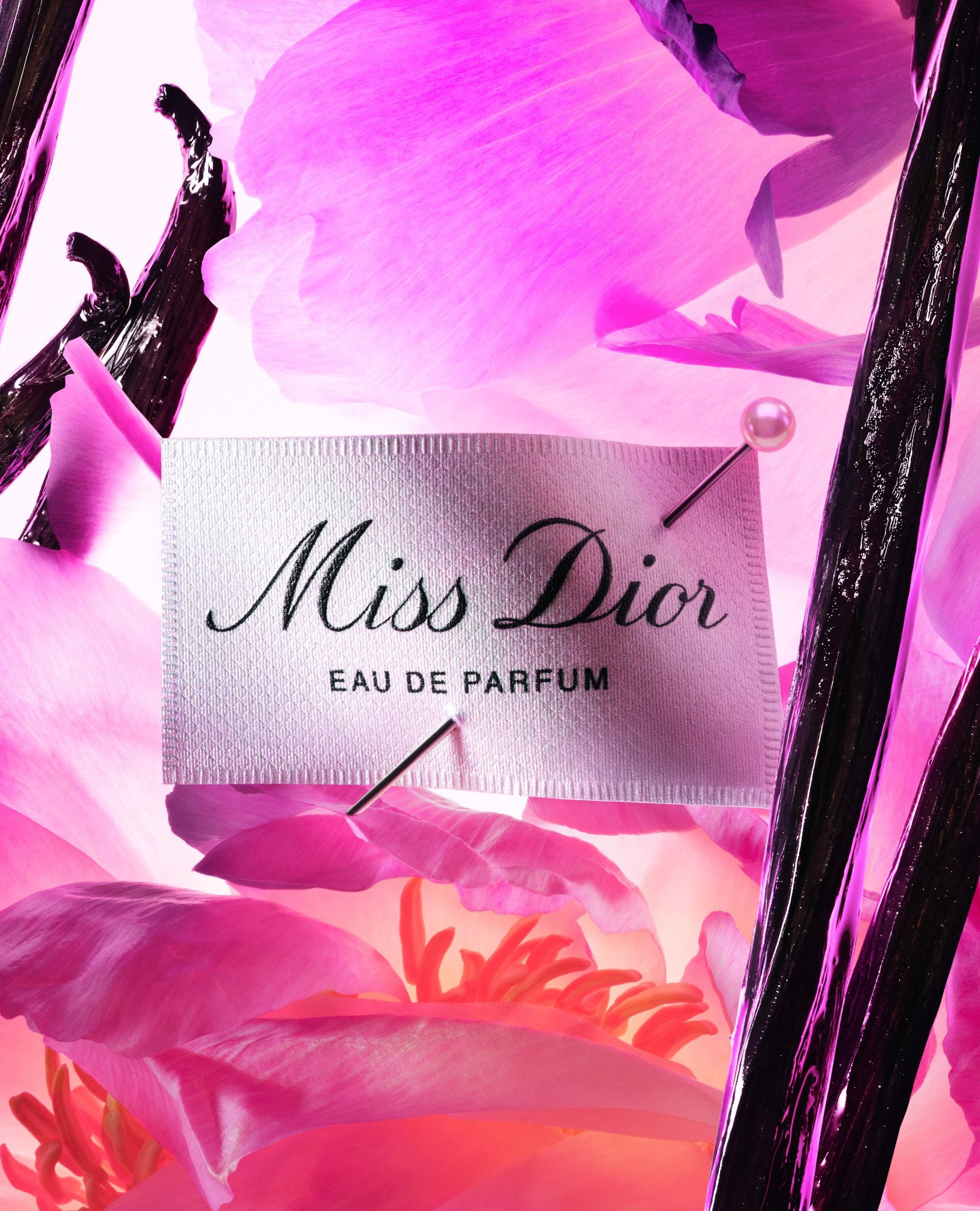 f249-md-revamp-edp-26-p06e-etiquette-v08-crop-sw-f39.jpg