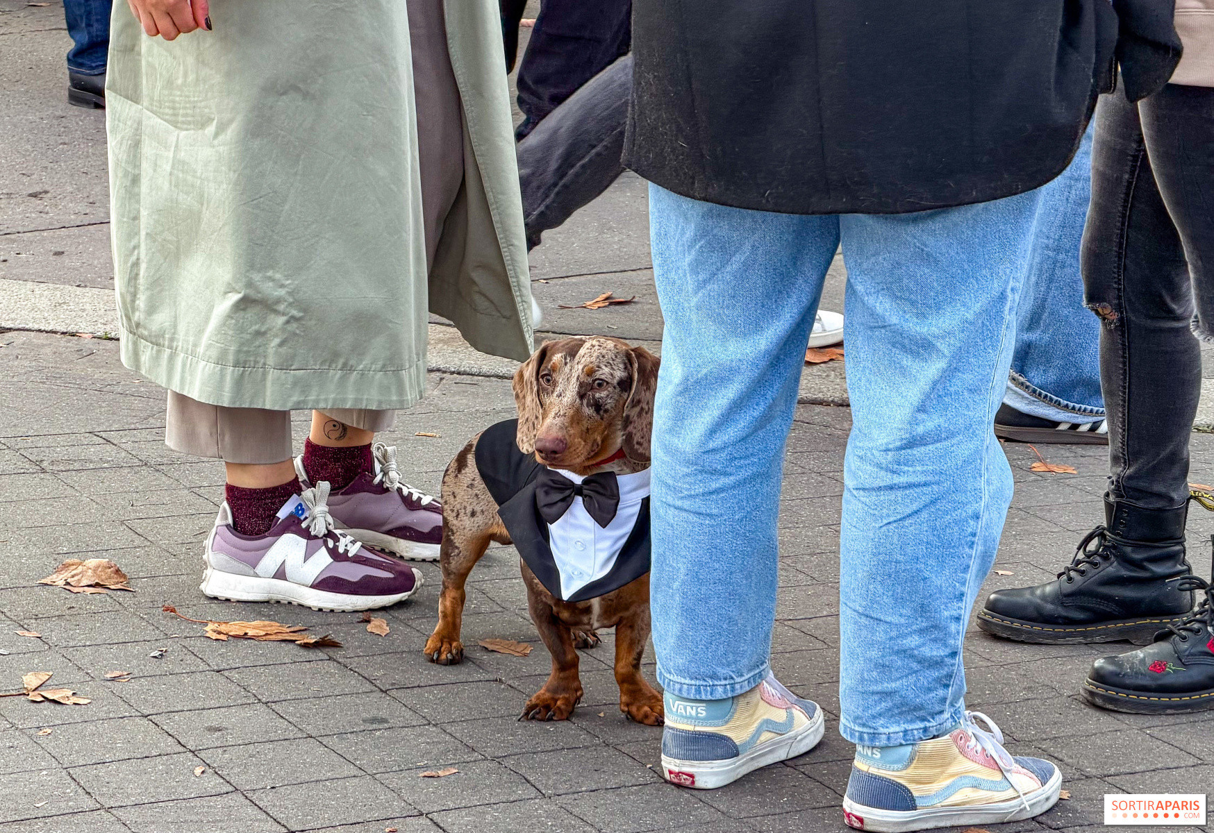 1313882-paris-sausage-walk-la-marche-des-teckels-2025.jpg