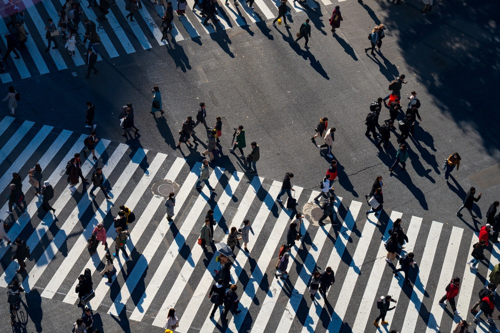 shutterstock-2718920889.jpg