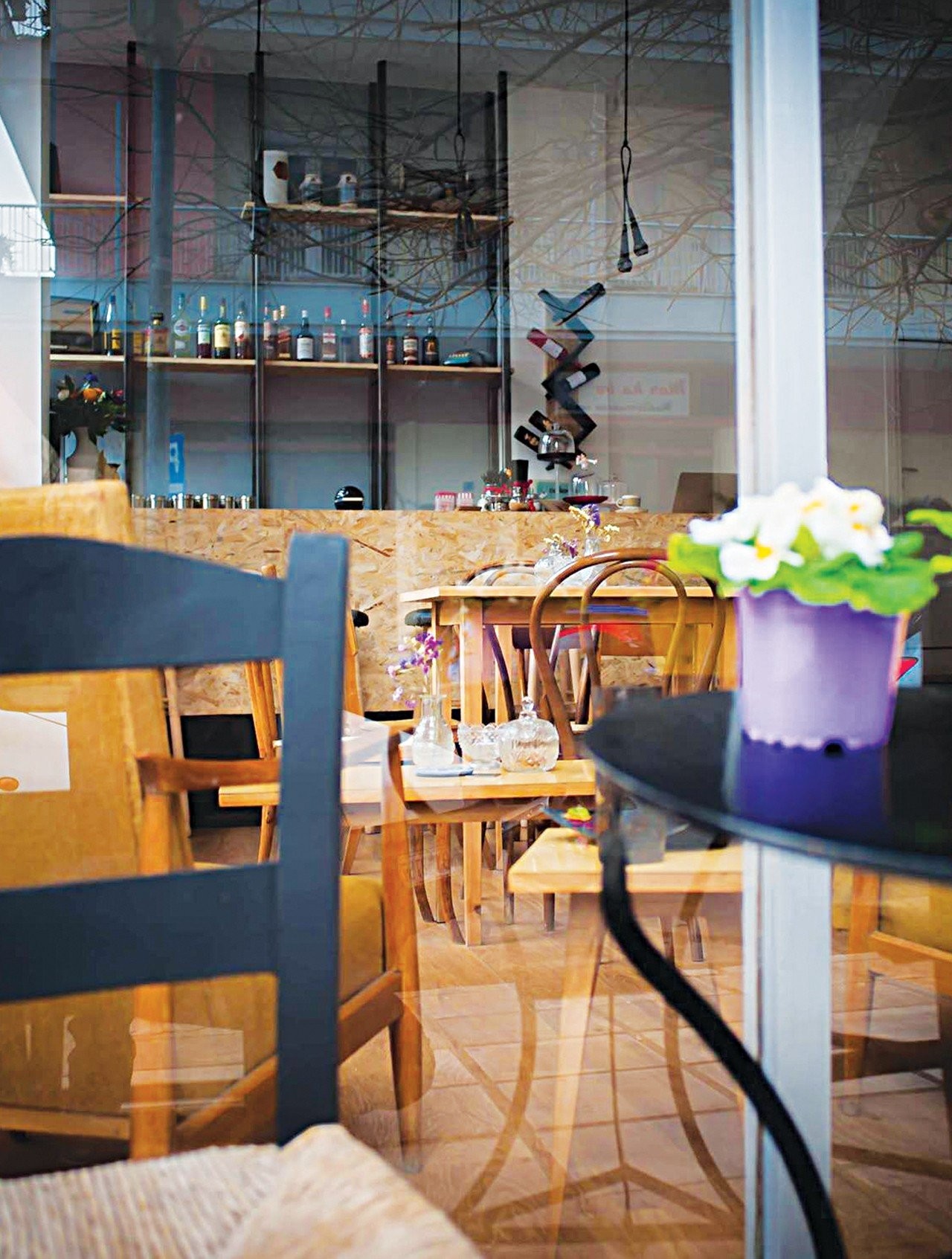 altefabion-SQYjD.jpg altefabion-SQYjD.jpg