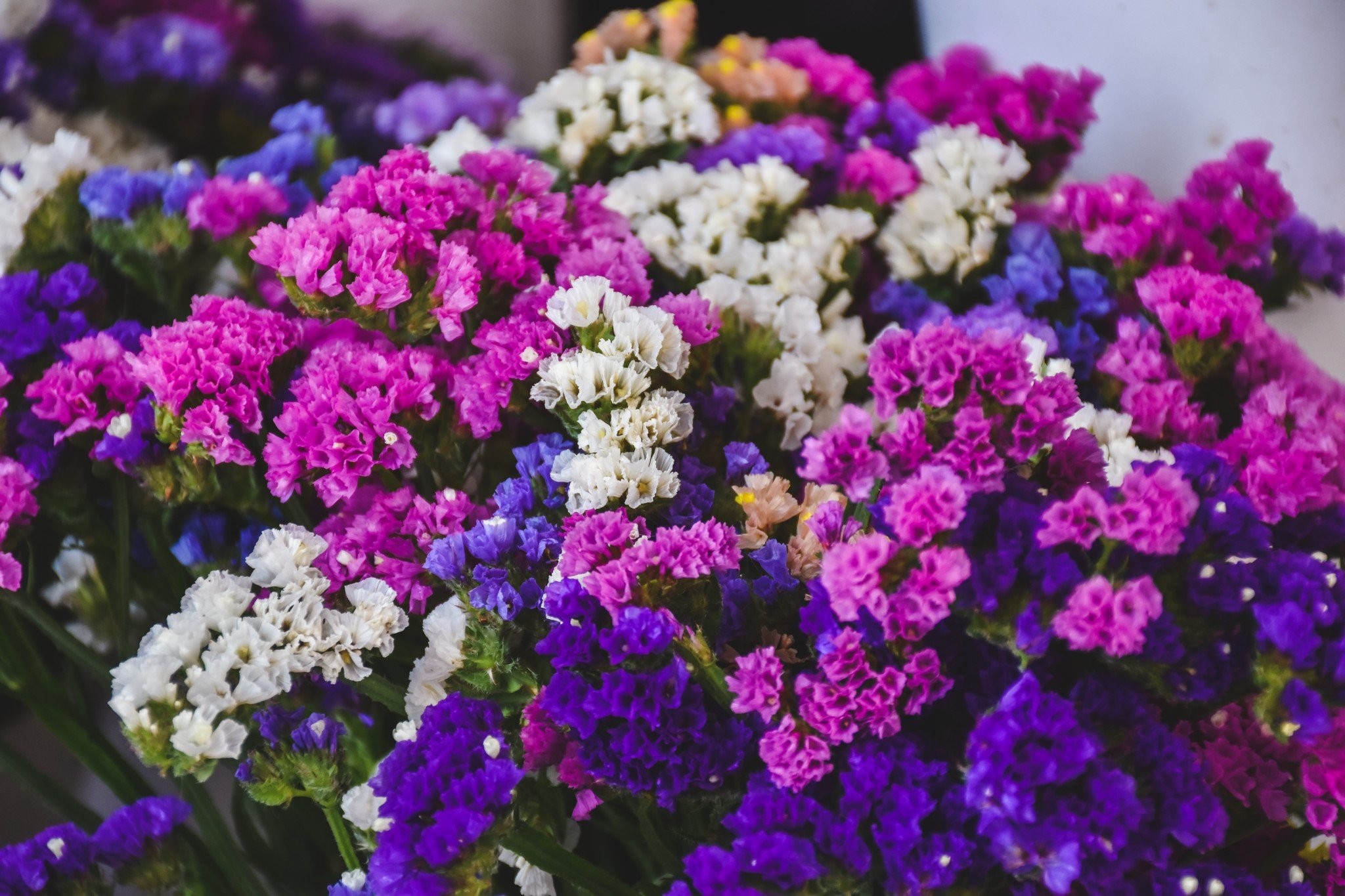 urban-markets-9-of-19.jpg urban-markets-9-of-19.jpg