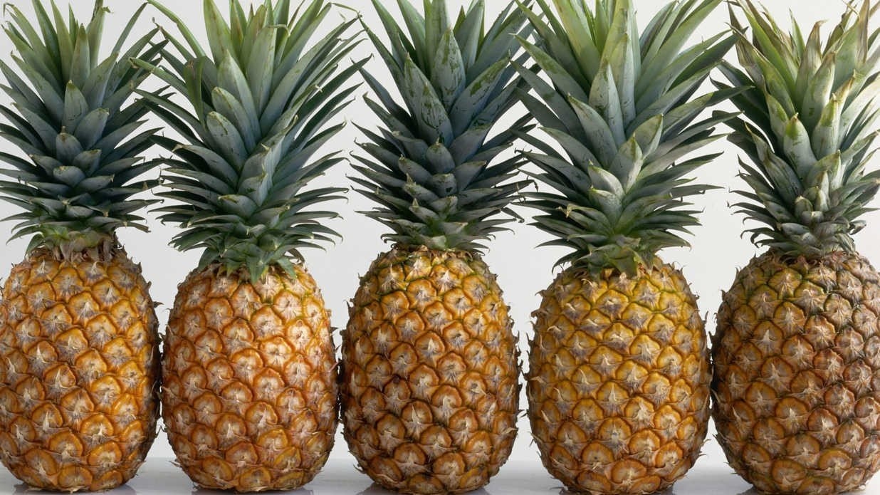 pineapple.jpg