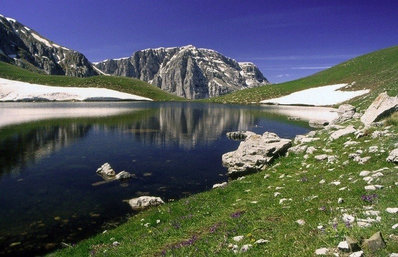 -3Qec2.jpg -3Qec2.jpg