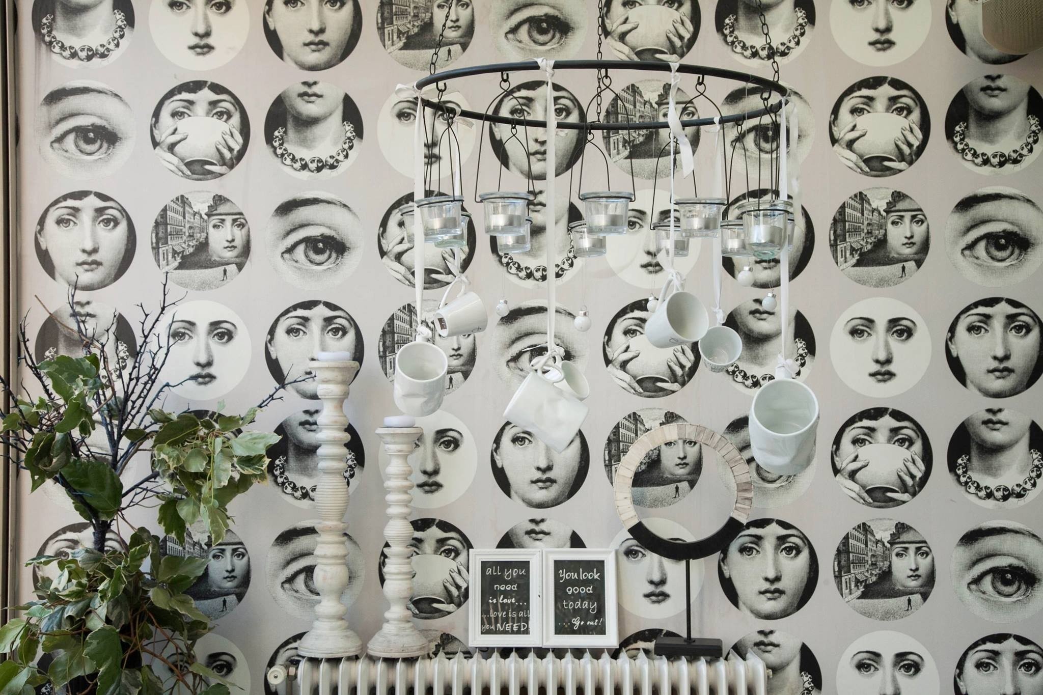 aleria-VLo6l.jpg aleria-VLo6l.jpg