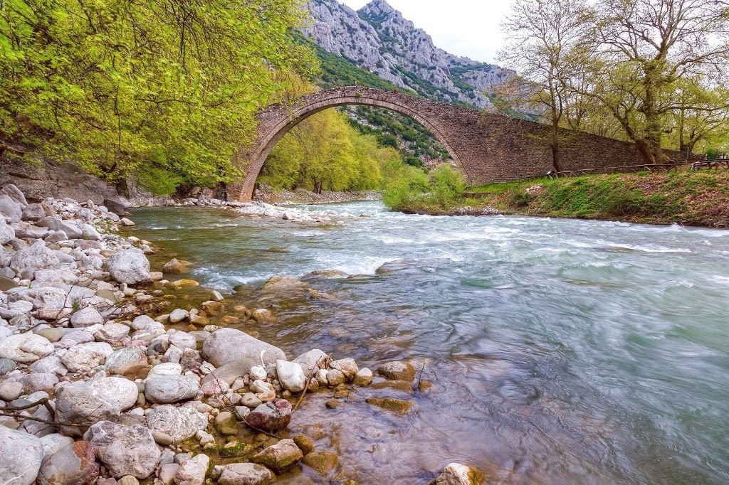 triimero.jpg triimero.jpg