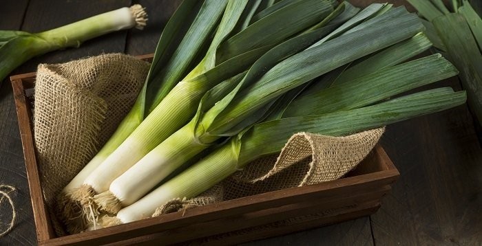 leek-4-369071.jpg