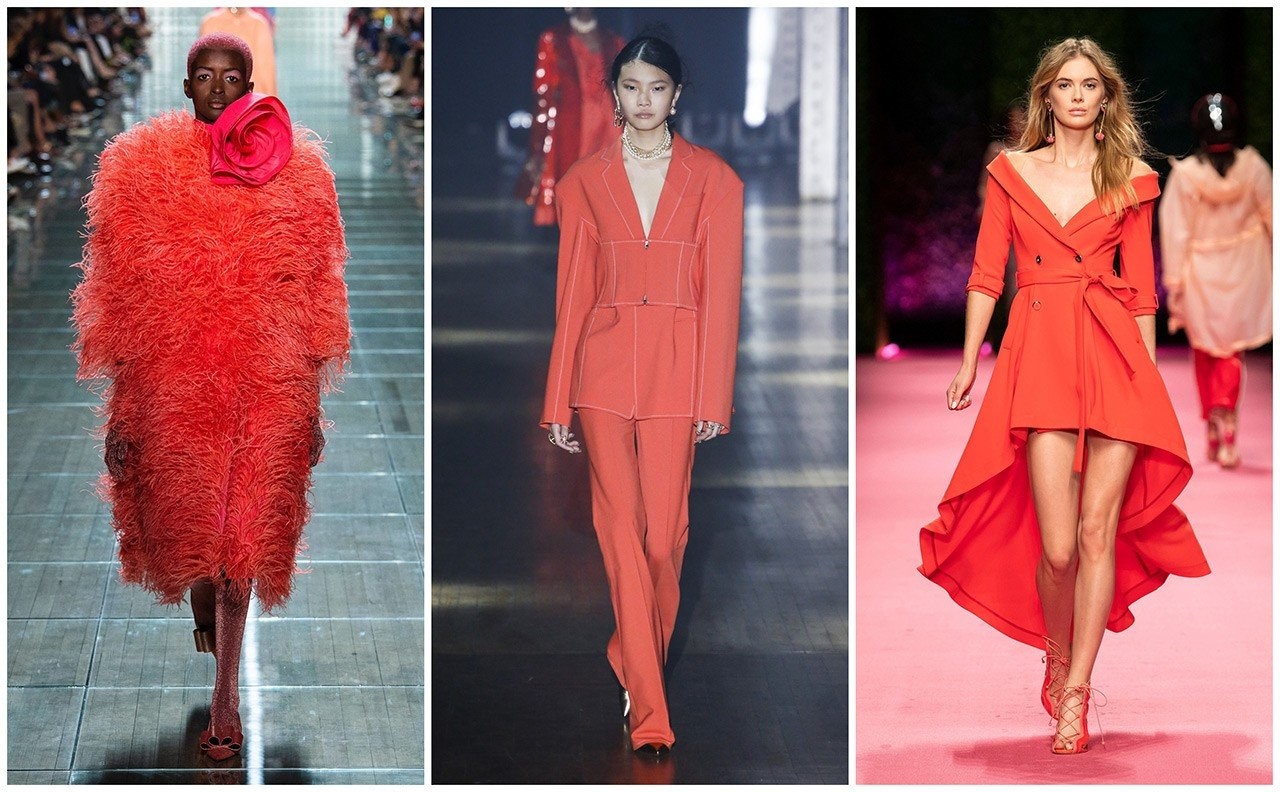 living-coral-3.jpg living-coral-3.jpg