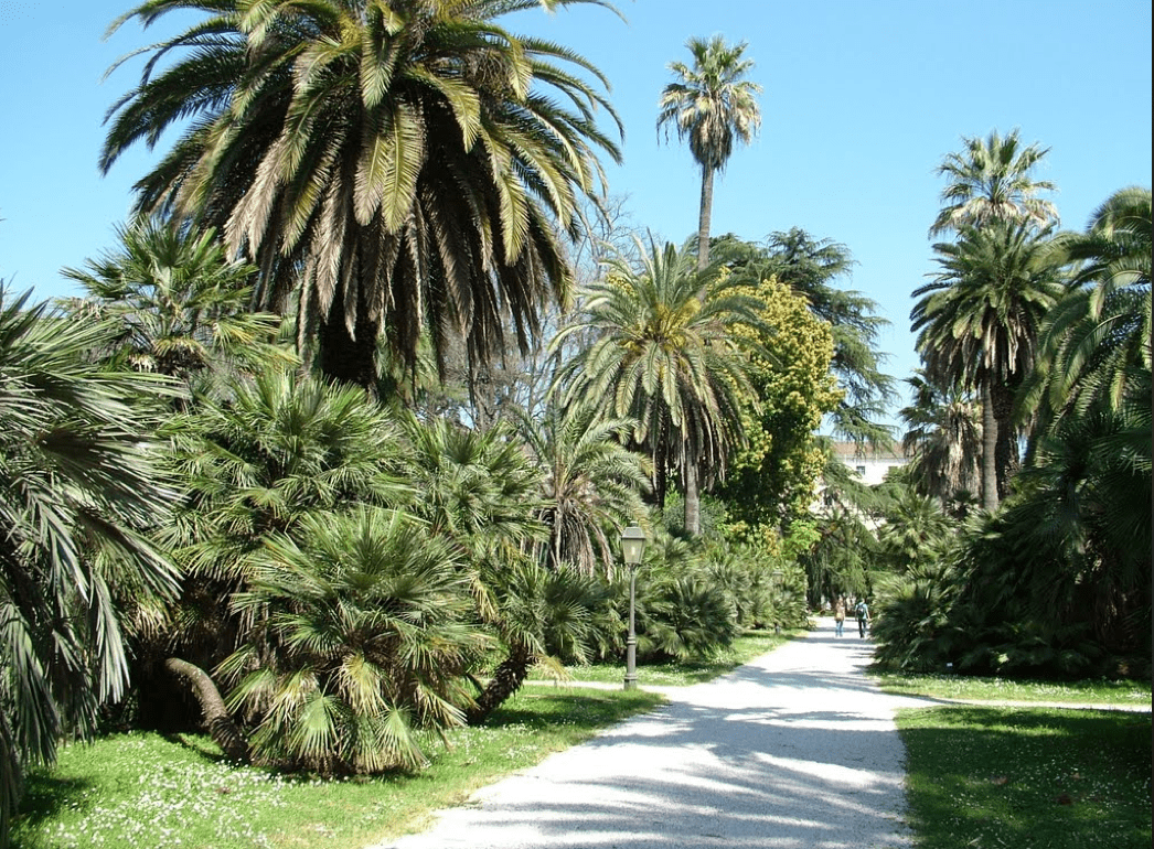 botanical-garden-rome.jpg