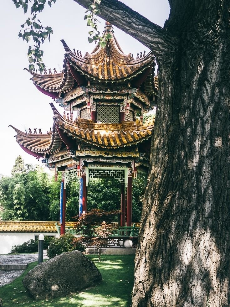 chinese-garden.jpg