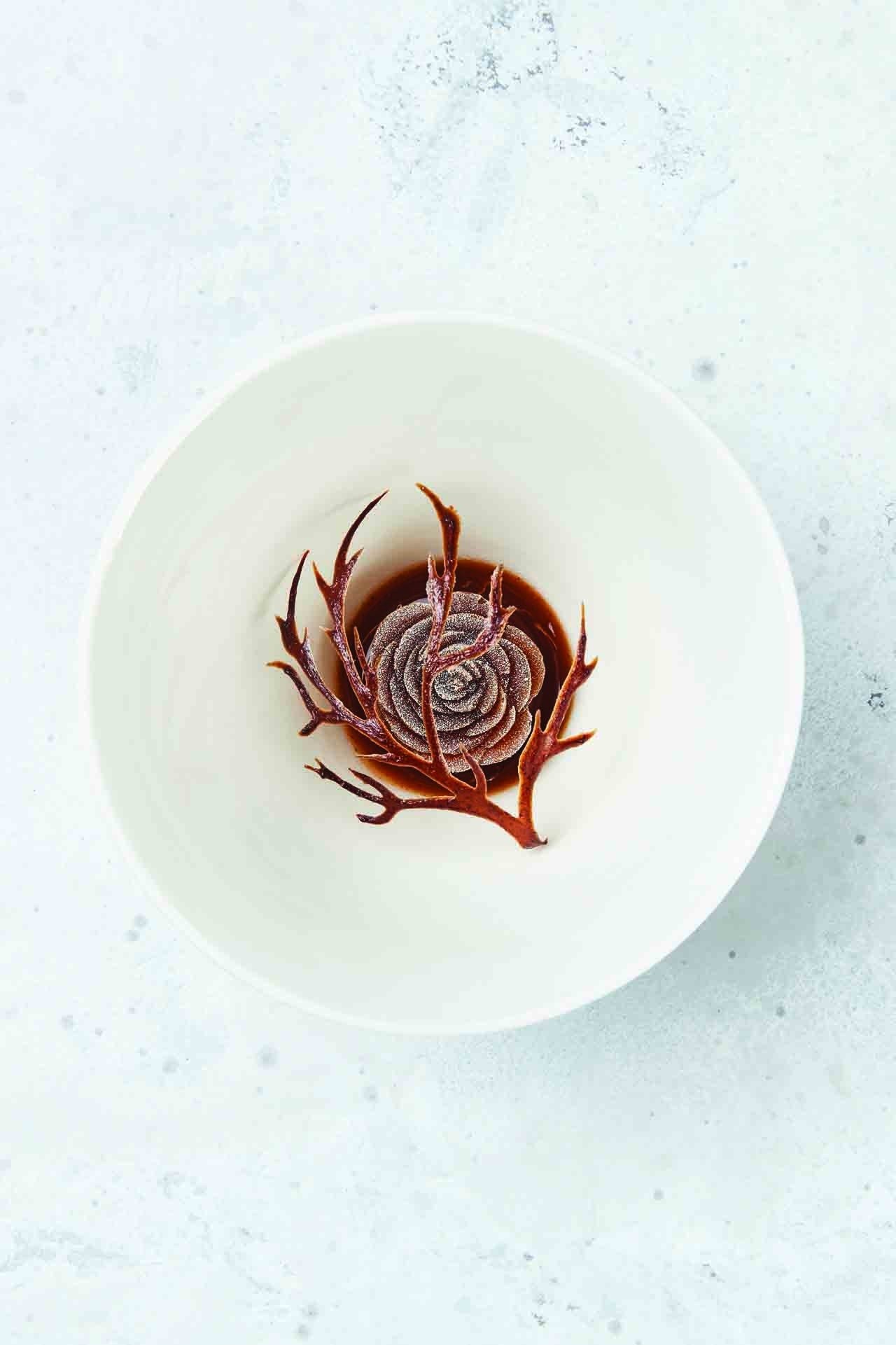 geranium-naked-tree-prunes-dark-beer-cream-with-beech-wood-9.jpg geranium-naked-tree-prunes-dark-beer-cream-with-beech-wood-9.jpg