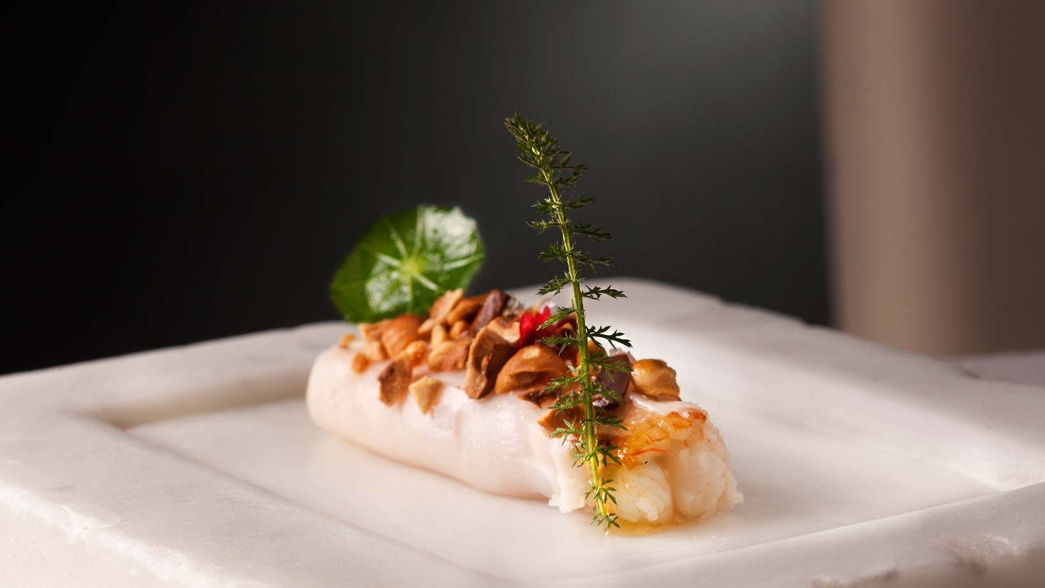 etrusco.jpg etrusco.jpg