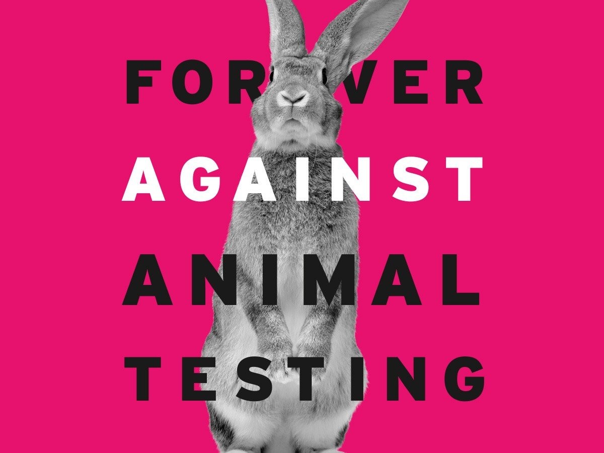 animal-testing-ariadni-adam.jpg