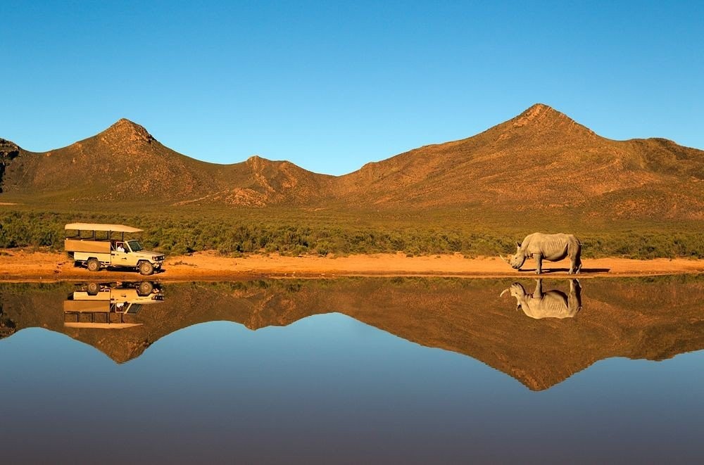cape-town-safari-tour-CawQj.jpg