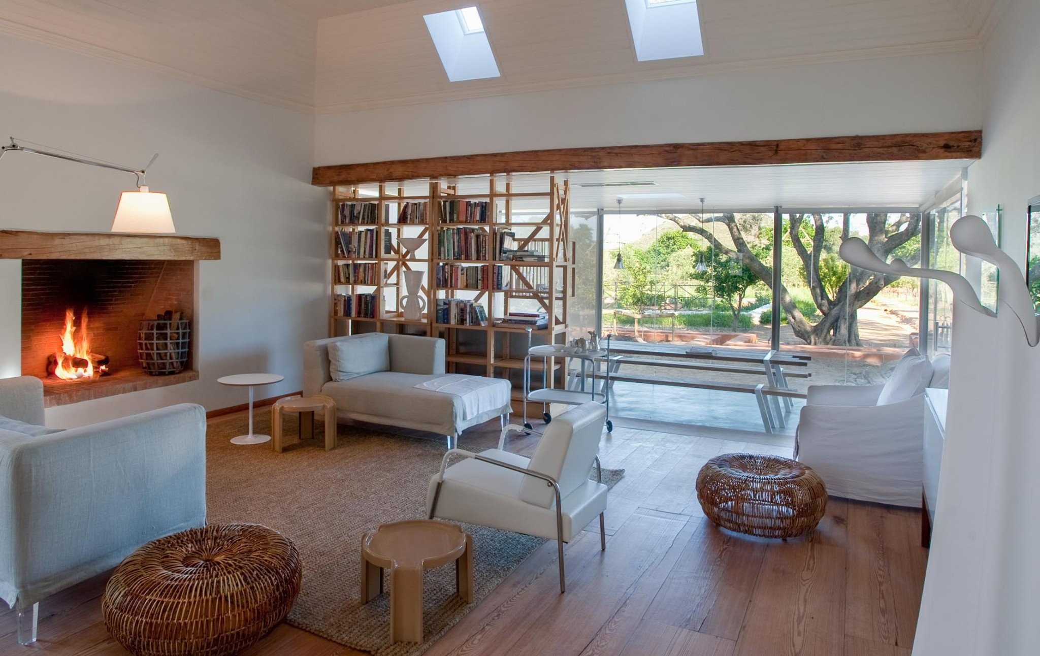 cape-town-safari-tour-KpBFq.jpg cape-town-safari-tour-KpBFq.jpg