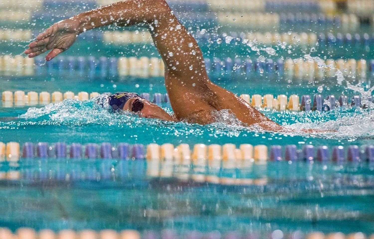 free-pFJk8.jpg free-pFJk8.jpg