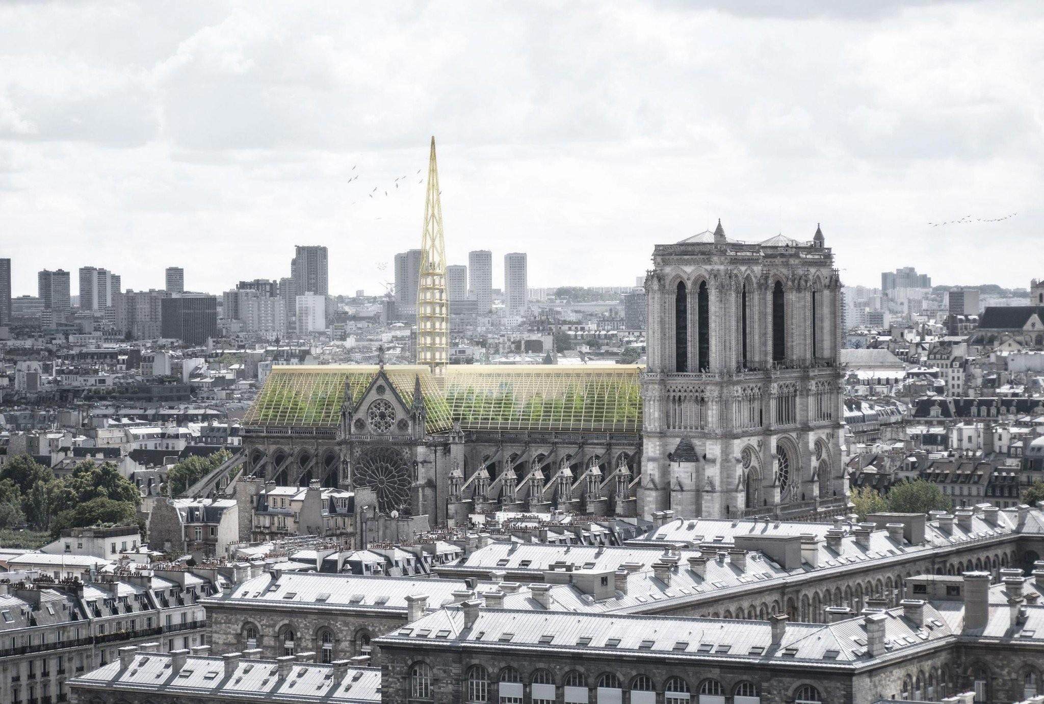 notre-dame-roof-1.jpg