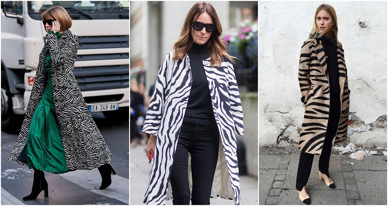 how-to-wear-zebra-4.jpg
