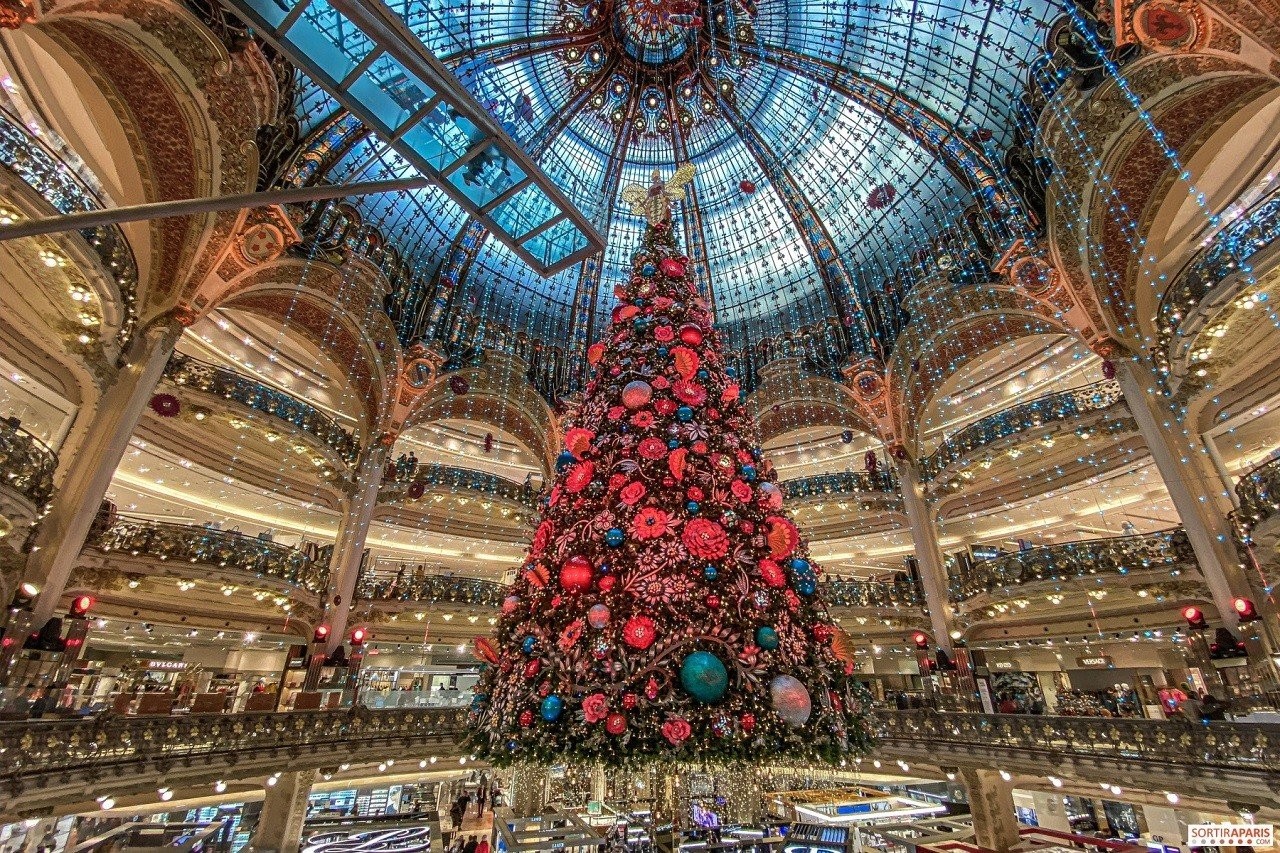 christmas-trees-2019.jpg