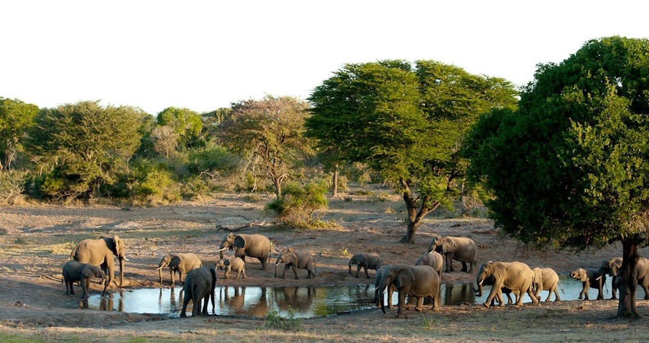 2b-inn-area-tembe.jpg
