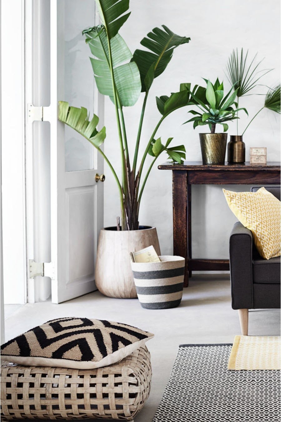 ft-indoor-plant-decor-ideas.jpg