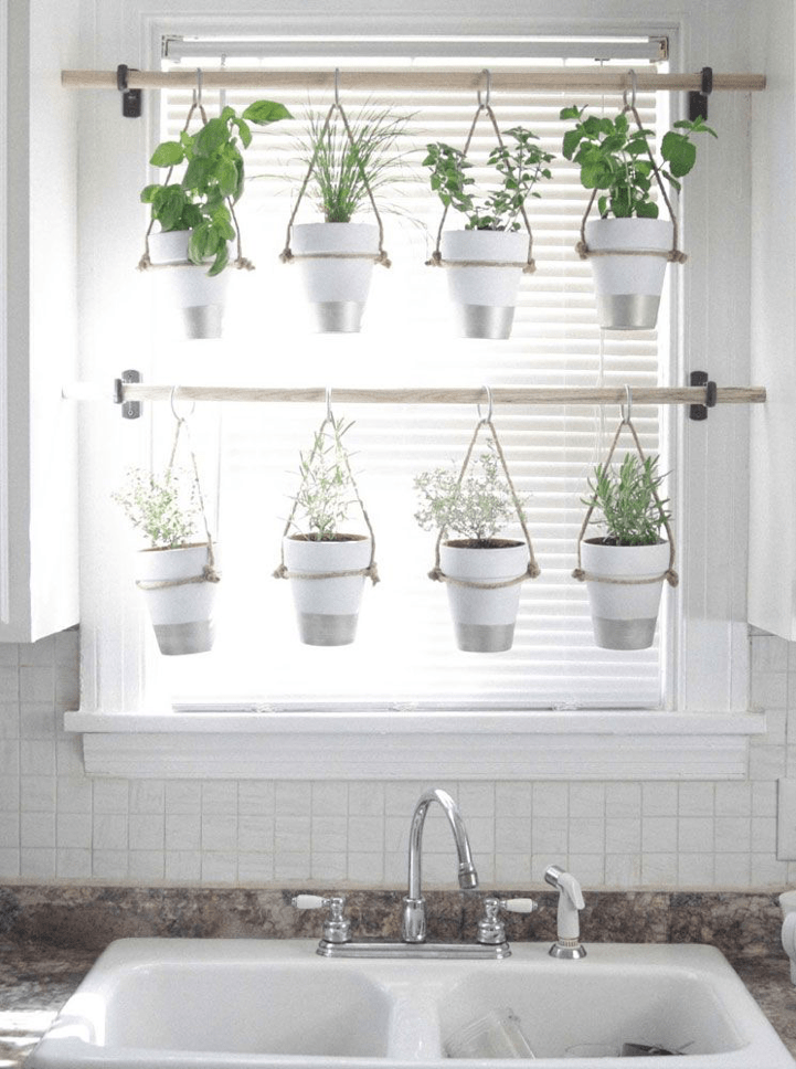 kitchen-plants-2.png