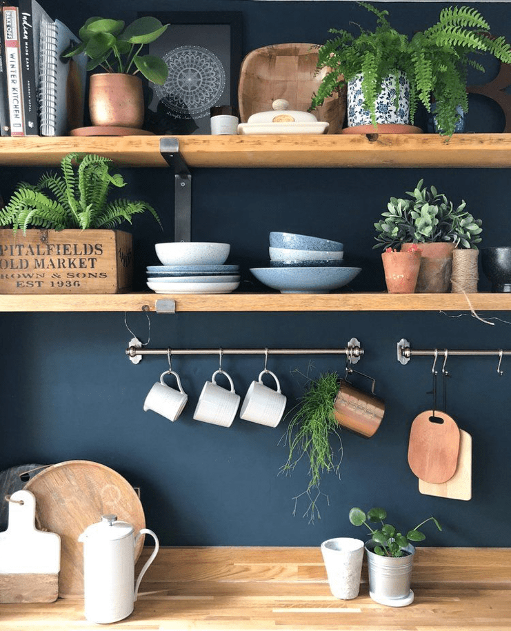 kitchen-plants-6.png