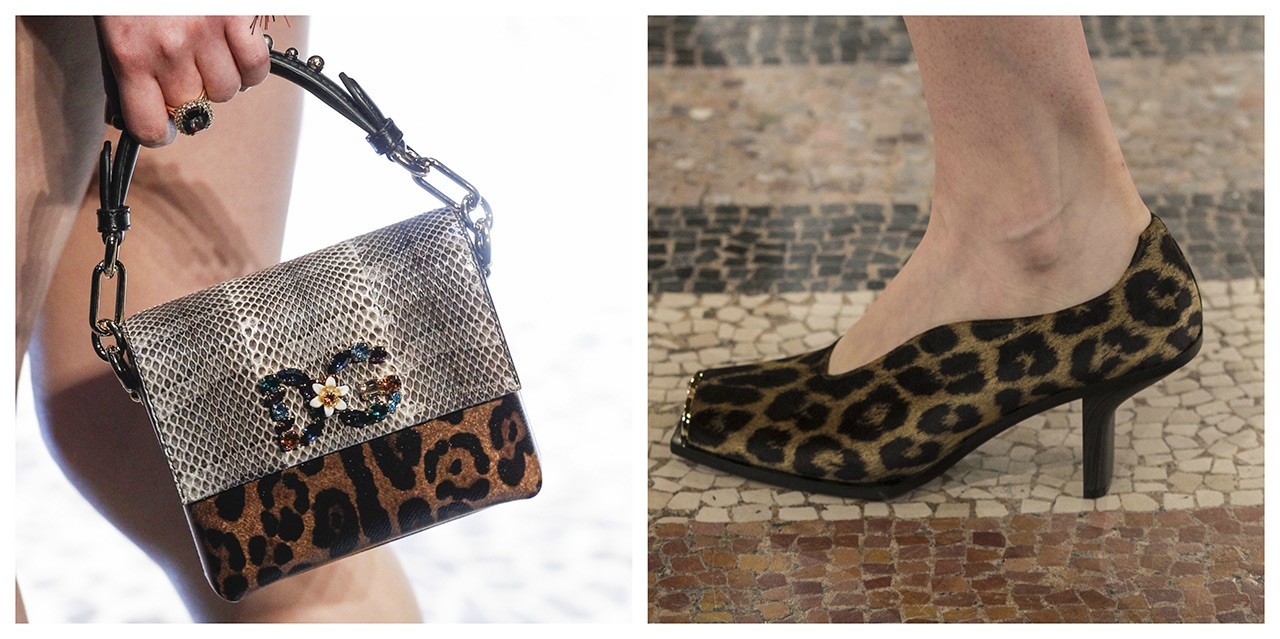 leopard-trend.jpg leopard-trend.jpg