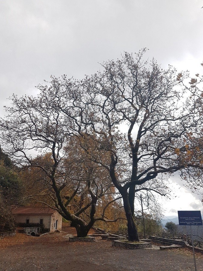 mouseio-ydrokinisis.jpg mouseio-ydrokinisis.jpg