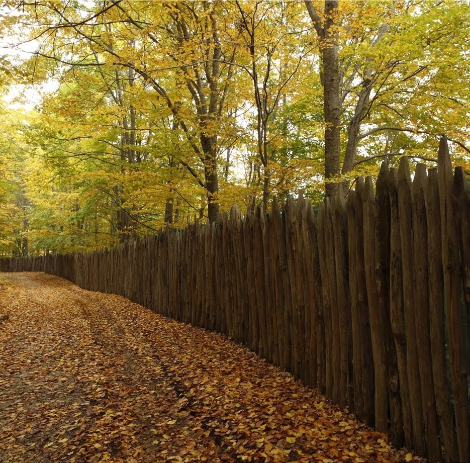 oxias-kai-mia-fysh-poy-orgiazei.jpg oxias-kai-mia-fysh-poy-orgiazei.jpg