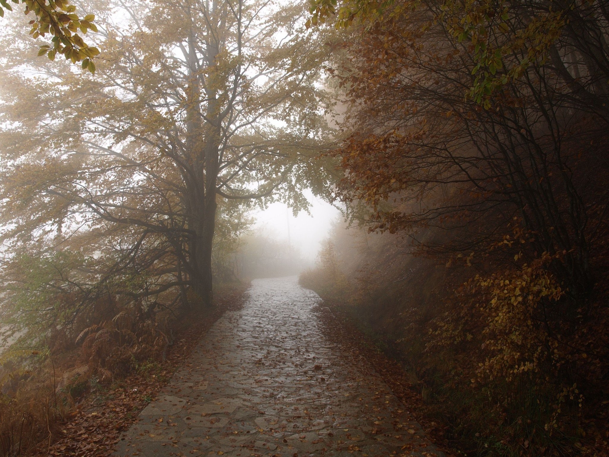 ths-diadromhs-gia-ton-arktoyro.jpg ths-diadromhs-gia-ton-arktoyro.jpg