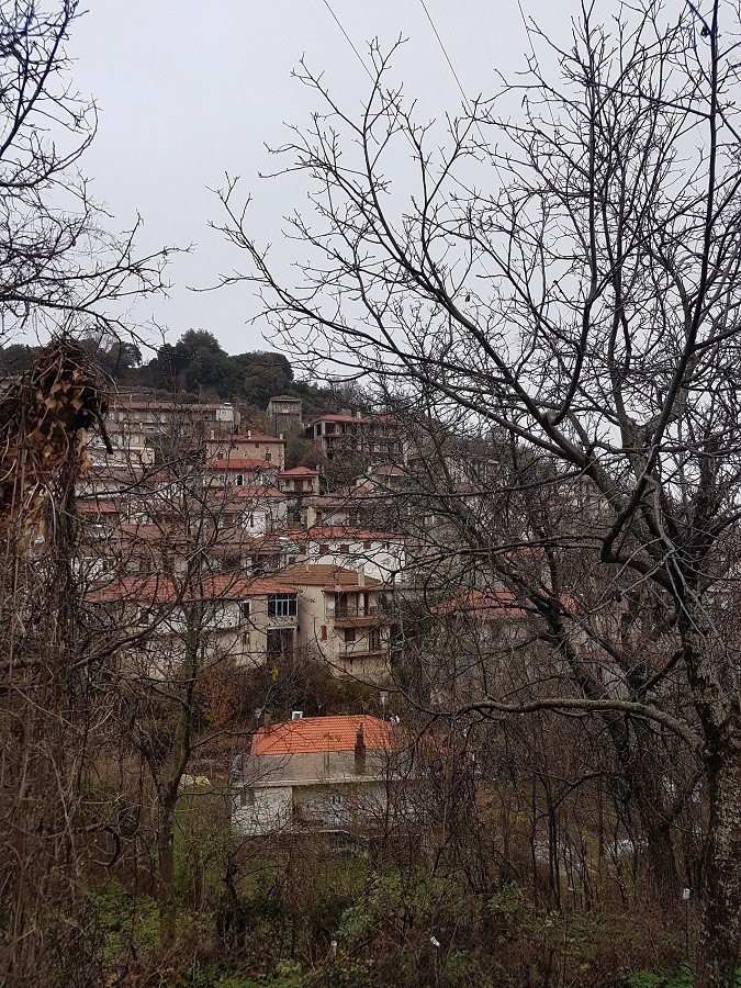 valtesiniko.jpg valtesiniko.jpg