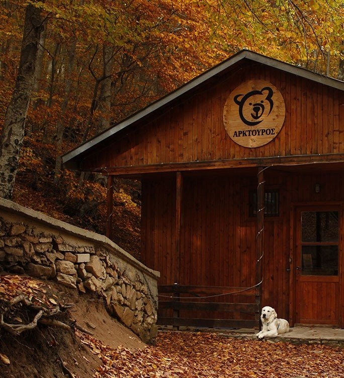 xarakthristiko-xylino-spiti-toy-arktoyroy.jpg xarakthristiko-xylino-spiti-toy-arktoyroy.jpg